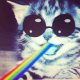 catfable's Avatar