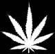 PotZombiee's Avatar