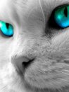 TUHTA's Avatar