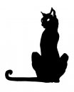 Icecat's Avatar