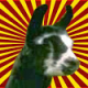 Kempy_161's Avatar