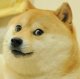 suchNGUwow's Avatar