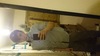 WalkingTrouble's Avatar