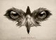 V~HawKEye~V's Avatar