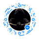 natdog2910's Avatar