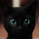 Ptdz Vesh's Avatar