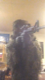 Ghostairsoft1's Avatar