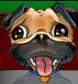 Bluffed's Avatar