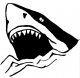 TheNewBie_'s Avatar