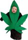 WeedIsTheBest's Avatar