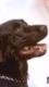 letino27's Avatar