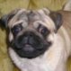 carloswars987's Avatar