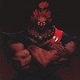akuma6498's Avatar