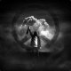 The Invis's Avatar