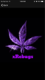 xRebugs's Avatar