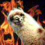 xkgamer560627x's Avatar