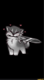 Darkbro10010's Avatar