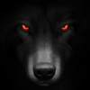 2074's Avatar