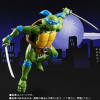 Leonardo Turtle's Avatar