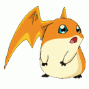 Cooelho-'s Avatar