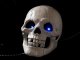 cadaveros's Avatar