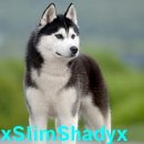 xSlimShadyx's Avatar