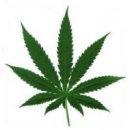 liamf's Avatar