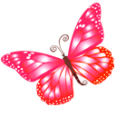 ƸӜƷ's Avatar