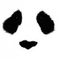 MTN's Avatar