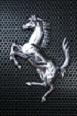 Fiorano's Avatar