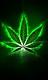 smokin baby's Avatar