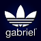 langlaisgabriel's Avatar
