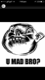 chiko786-123's Avatar