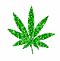 Claww1337--'s Avatar