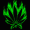 Steventhegreen's Avatar