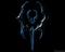 AllNightModding's Avatar