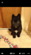 brianr0's Avatar