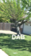 Galaxy19's Avatar
