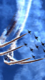 dreamycooky's Avatar