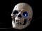 cadaveros's Avatar