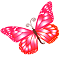 ƸӜƷ's Avatar