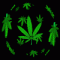 MrHerbal_'s Avatar
