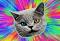 OFW's Avatar