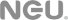 Gray NextGenUpdate Logo